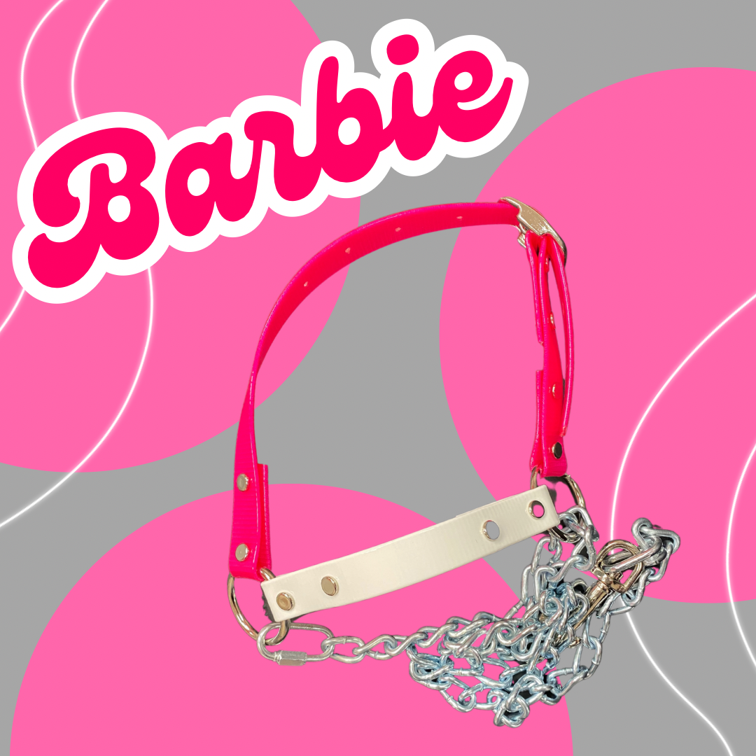 Barbie West Draw Tack & Supply